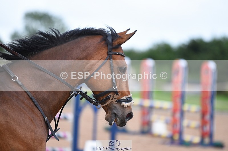 230711A-180648-00390 - 80cm