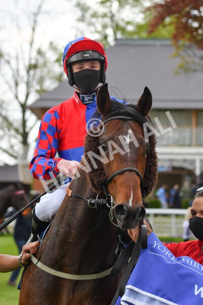 yr14052021r6-29 - Race 6 4.15pm Yorkshire Equine Practice Stakes