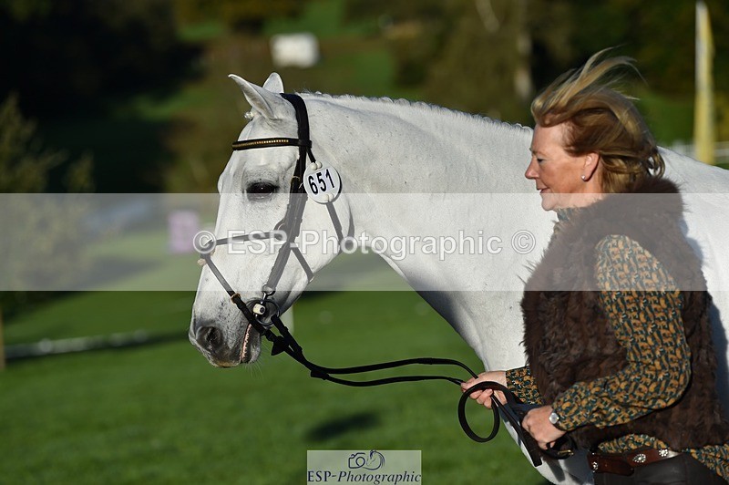 231022-091800-21683 - 651-RATHNAGREW.GREY.TEX-Nicola.Horsley-gubbins-TrotUp+SJ