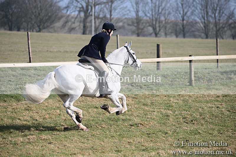 PtP 230219 274 - Vine & Craven Point-To-Point - Barbury 23/02/19