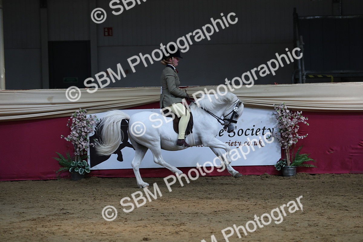 SBM_08306 - Class 11R Regional Ridden Veteran