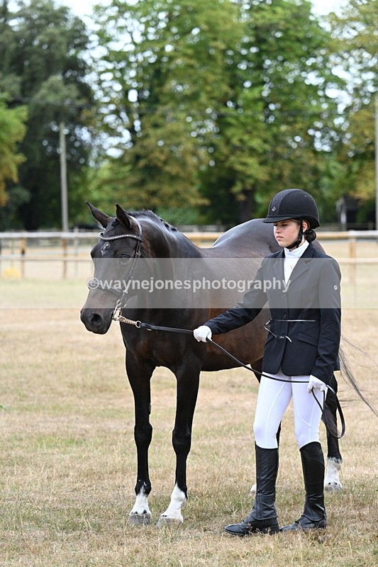 WJ7_9163 - Class 4a Prettiest Mare 14.2hh and over