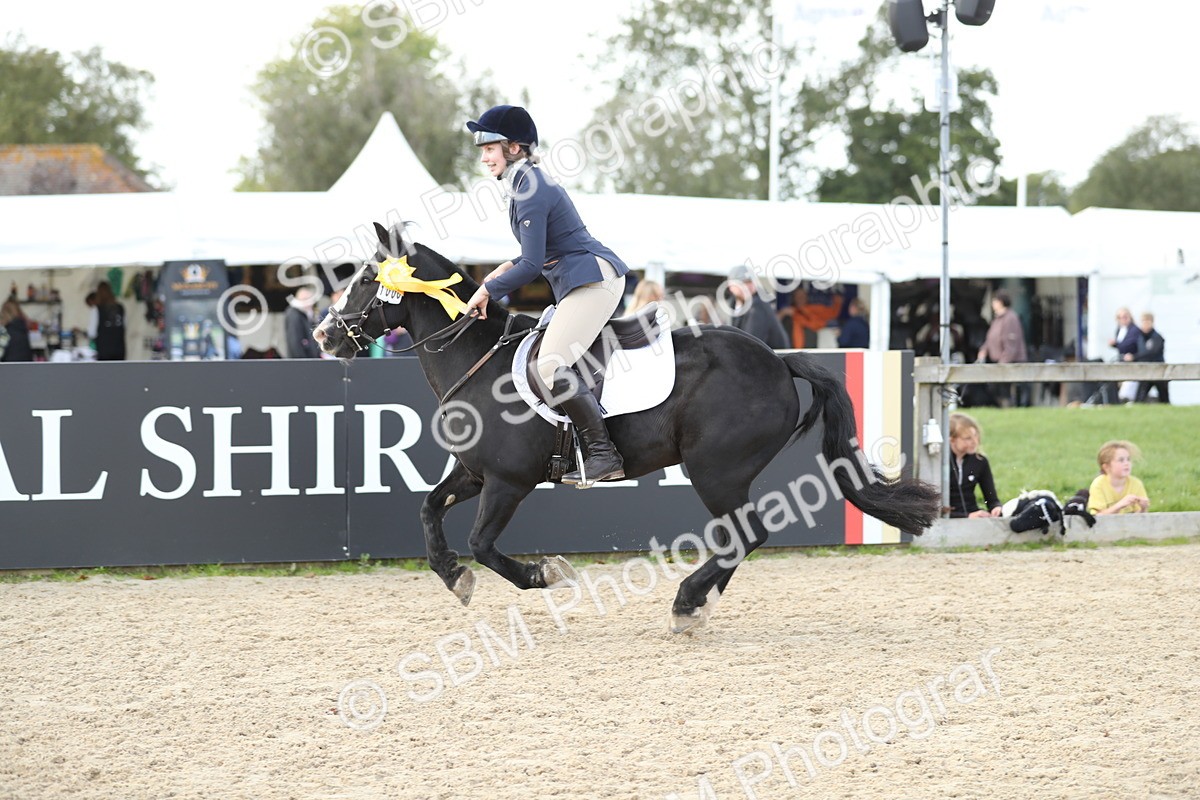 SBM_06585 - J29 - Senior Horse & Pony 65cm Championship