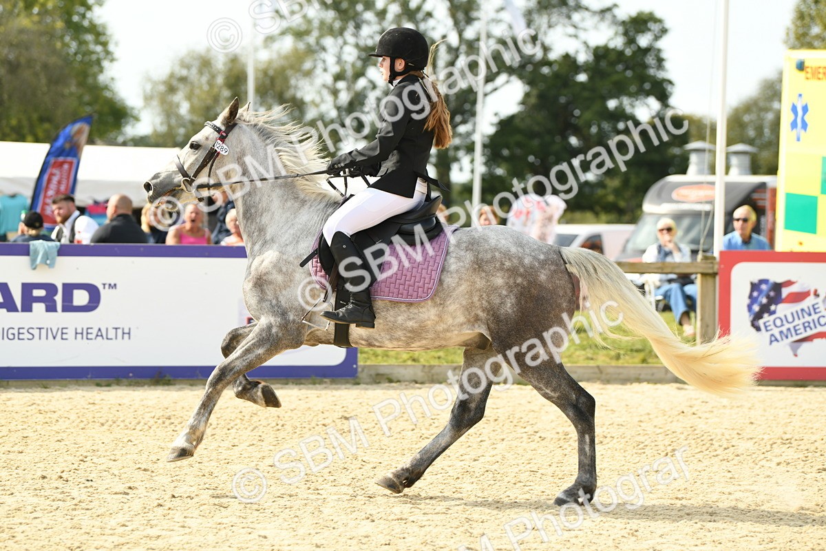 SBM_69142 - J15 - Junior Pony 70cm Championship