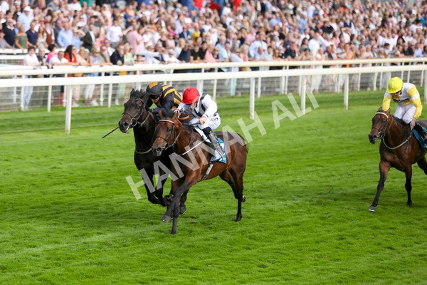 280723-Race 3-Loose Cannon-2832 - Race 3 6.05pm Ire-Incentive, It Pays To Buy Irish EBF Restricted Novice Stakes