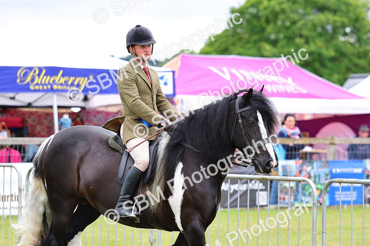 SBM_02594 - Class 9-11 Side Saddle including LIHS Rising Star Ladies Show Horse