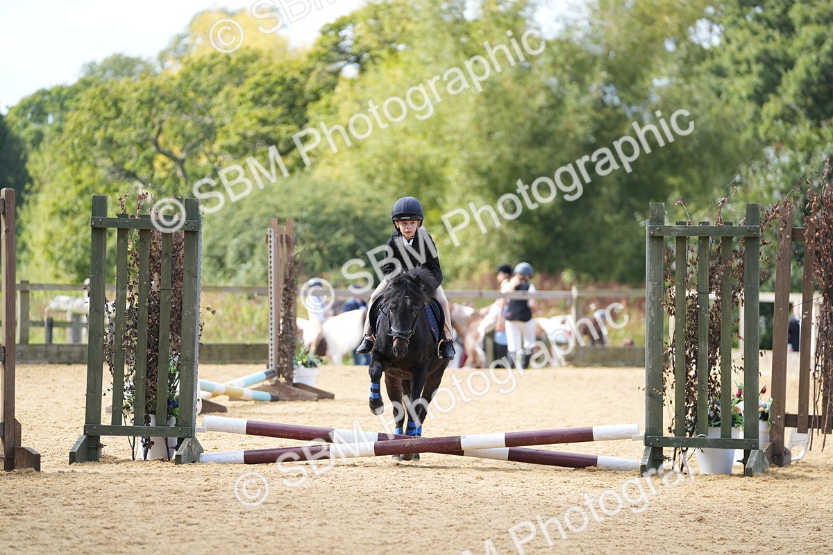 SBM_64415 - J2 - Mini Tour Junior Pony 30cm Championship