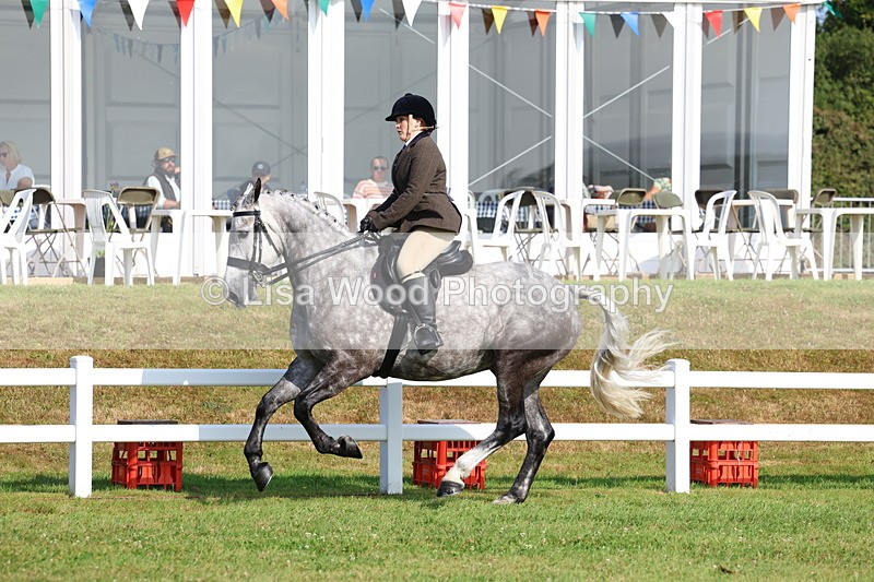 3E7A8594 - Class 3: Rising Star S/L Hunter