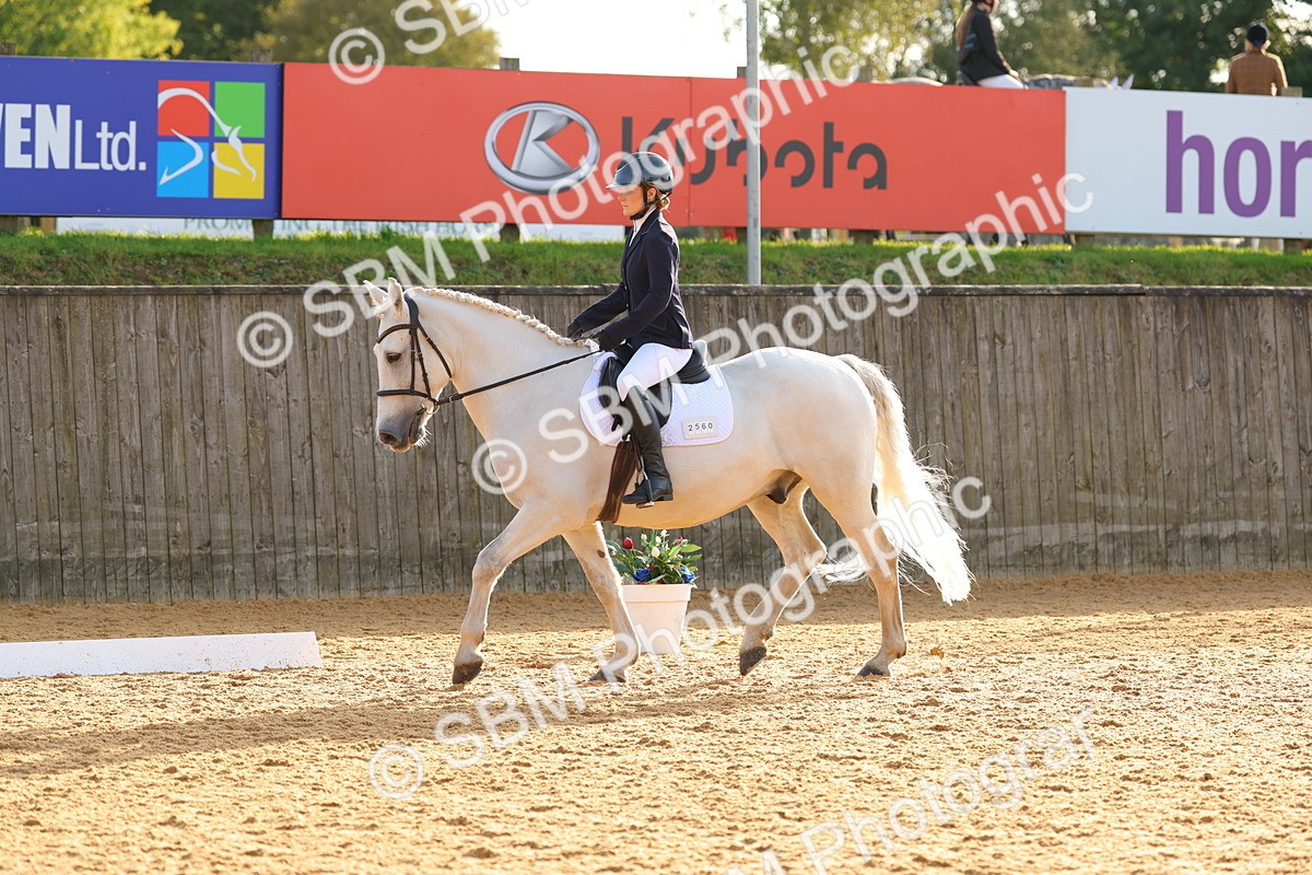 SBM_54349 - D12 - Small Tour Championship - Prelim 18