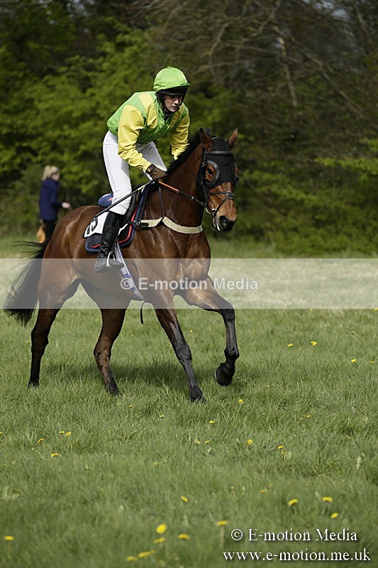 PtP 170417 276 - Old Berks Point-to-Point Lockinge 17/04/17