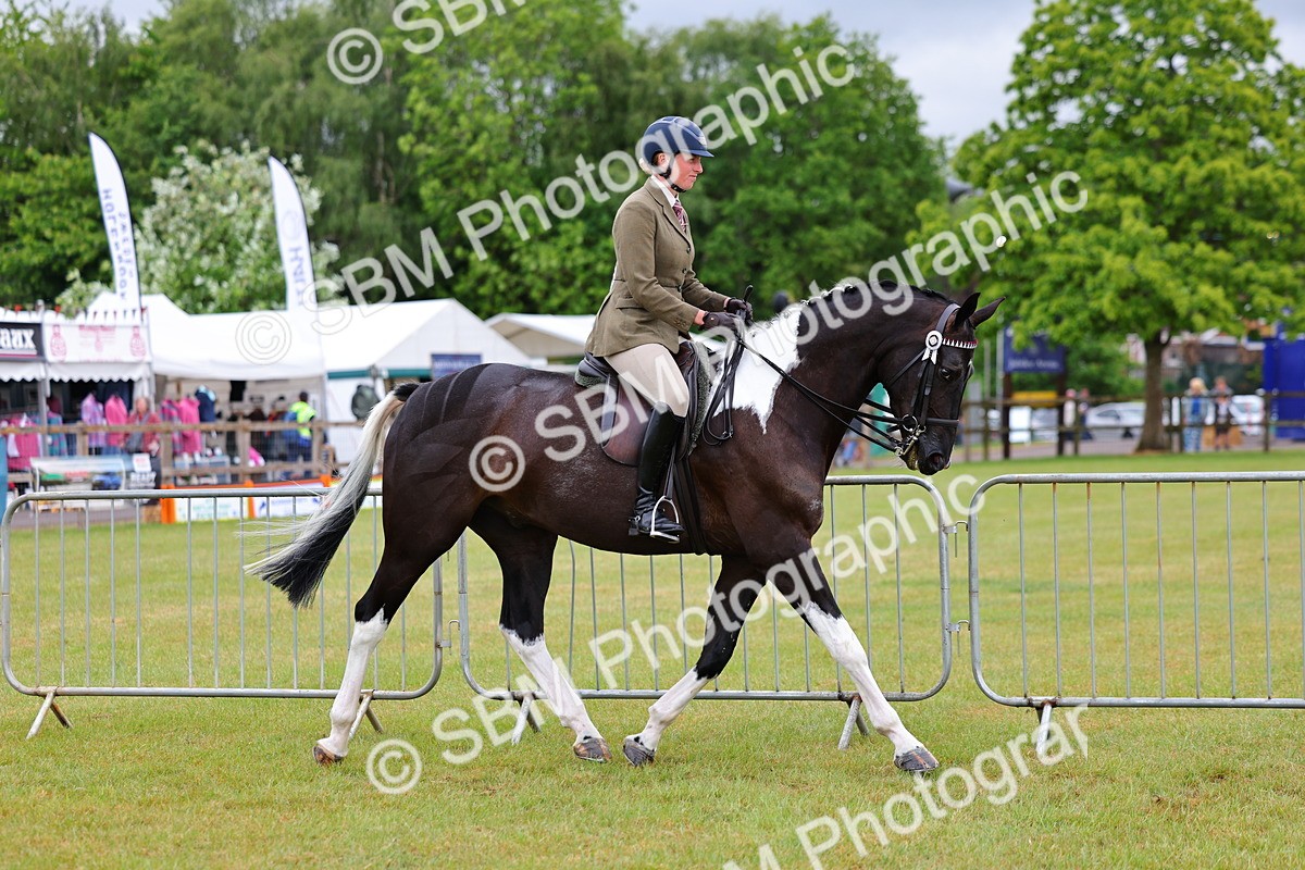 SBM_02477 - Class 9-11 Side Saddle including LIHS Rising Star Ladies Show Horse