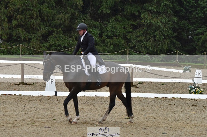 231018-153948-00845 - 011-BIG.QUERLYBET.K.Z-Paul.Whitehead-DR