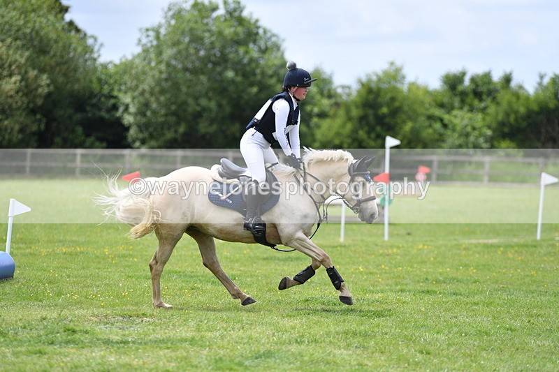 WJ5_4010 - Class 6 80cm