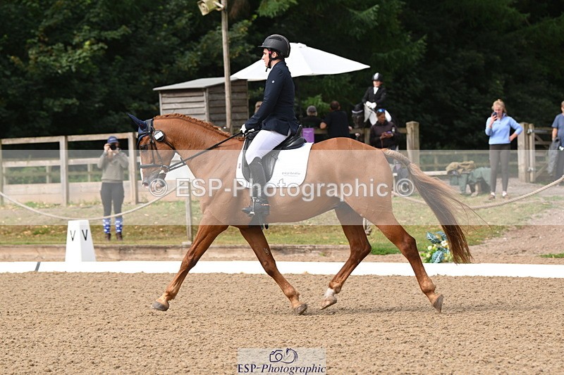 250720A-101144-09442 - 071-Jesse.Poyntz-Wright-Knockaderry.Jack