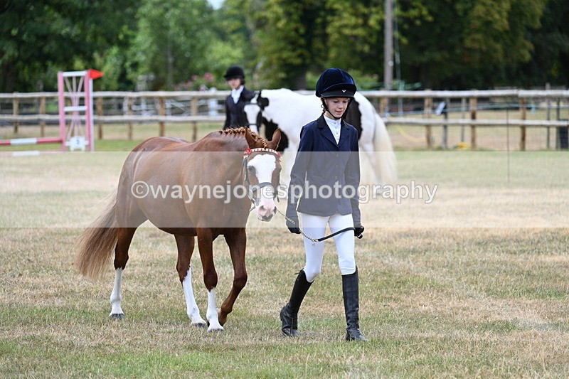 WJ7_1448 - Class 4 Prettiest Mare up to 14.2hh in hand