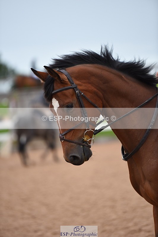 230718A-183200-00503 - 80cm