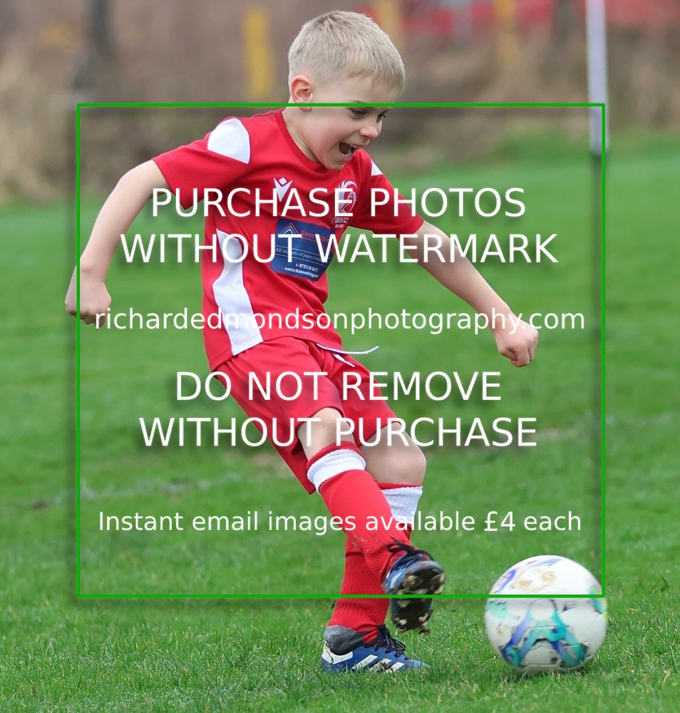 533A0695 - Ibis Under 7's (28/2/26)