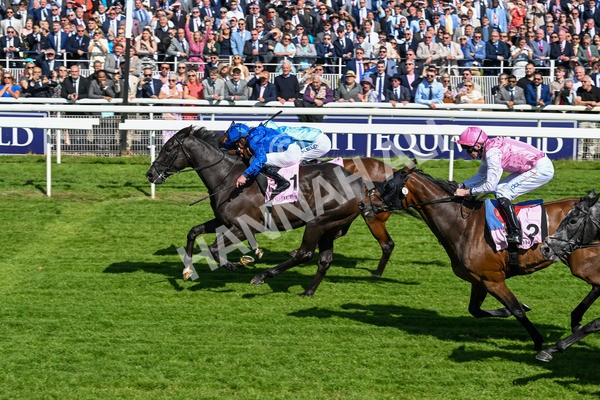 160525-Race 4-Rebels Romance-6729 - Race 4 3.45pm Boodles Yorkshire Cup Stakes