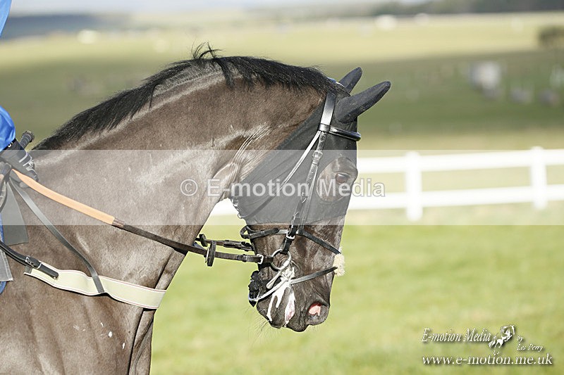 PtP 121220 198 - Avon Vale Races Larkhill 12/12/20
