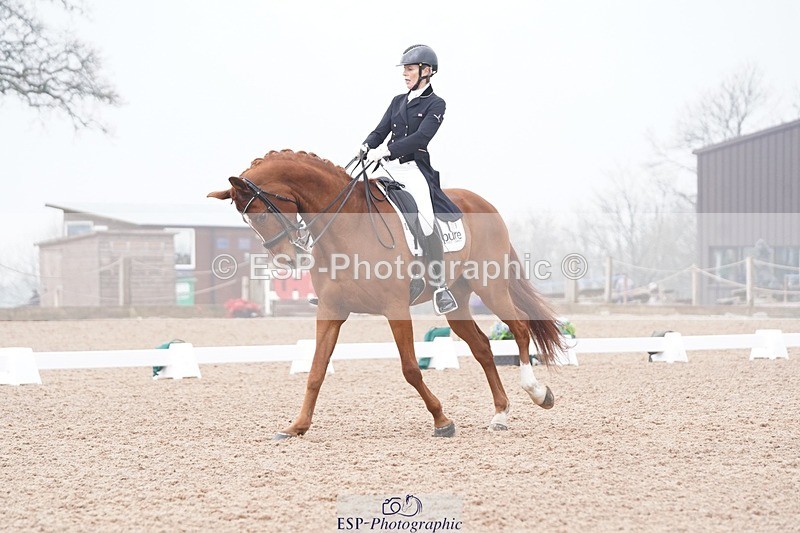 250404-095216-04135 - 009-Sarah.Stewart-Djoe.Dimaggio