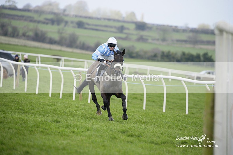 PtP 060322 184 - Blackmore & Sparkford Vale Hunt PtP 06/03/22