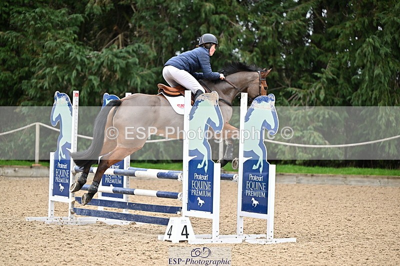 250201A-103610-00268 - Cls 01 Local Horse 90cm