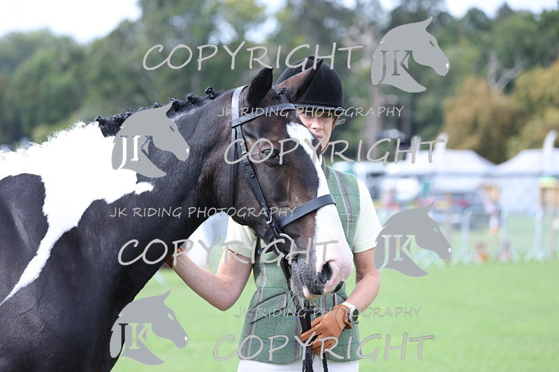 APP_2616 - Class 9 Veterans in hand