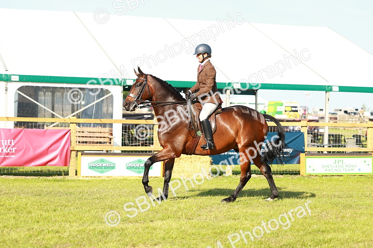 SBM_10763 - Class 66-69 - RIHS Ridden Hunters Inc Small Hunter