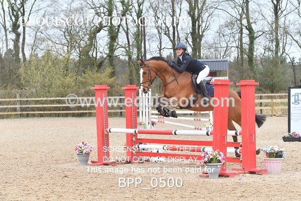BPP_0500 - CLASS 3  Club/ Unaffiliated 90cms Open