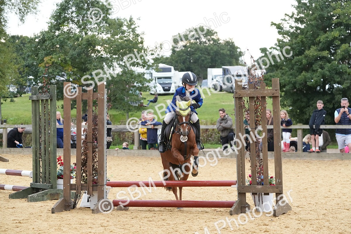 SBM_74535 - J4 - Mini Tour Junior Pony 45cm Championship