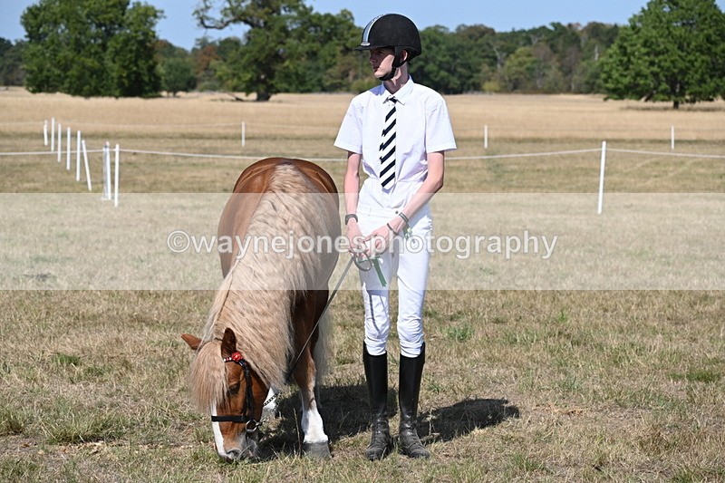WJ6_9530 - Class 40 Cheekiest Pony/Horse