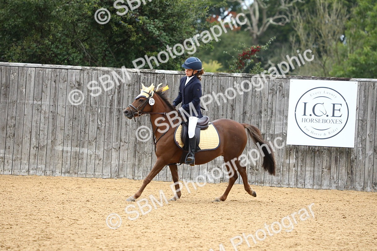 SBM_60196 - J63 - Junior Pony 50cm Championship