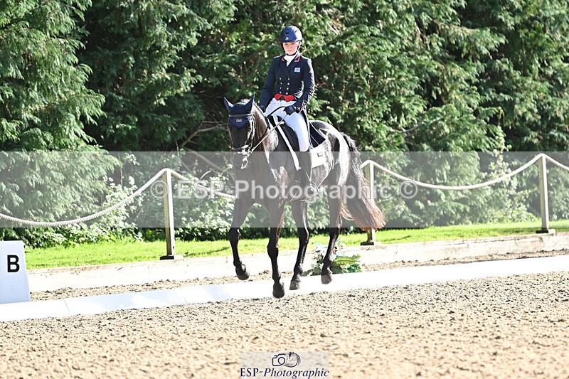 241023-143928-00572 - 002-Ellie.Fredericks-BRITANNIA'S.OLIVE