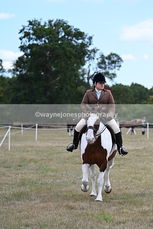 WJ7_5308 - Class 12 Ridden Cob