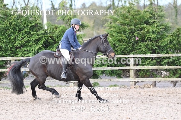 BPP_6861 - RING 1  (RIDDEN HORSES / IN HAND / VETERAN ETC)