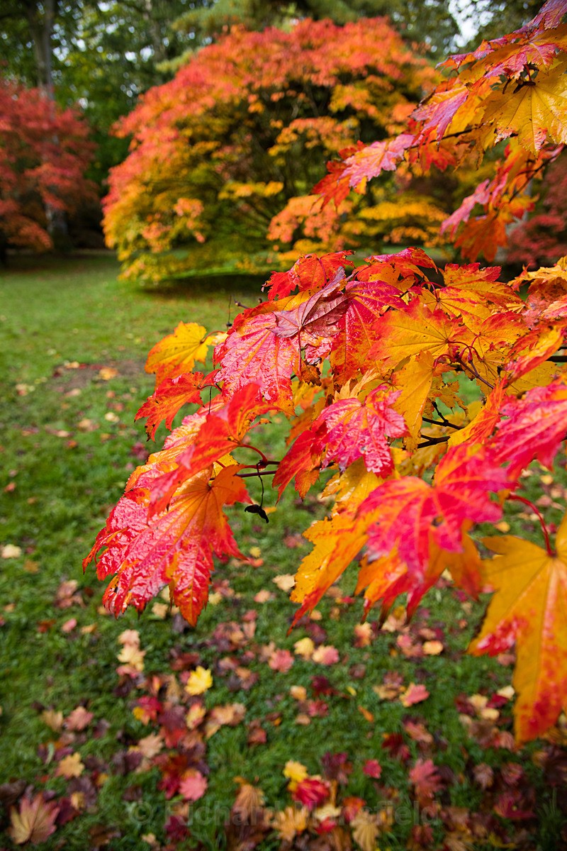  - Autumn