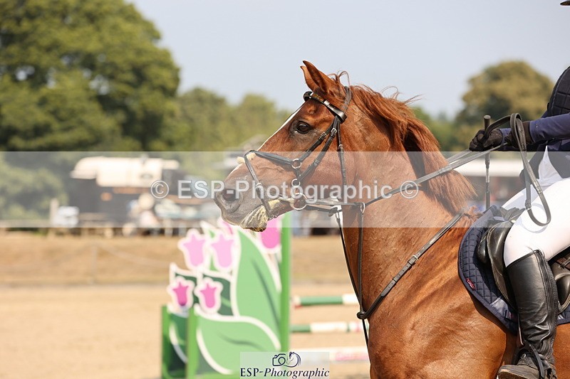 250816A-105422-00895 - Cls 3 Snr British Novice