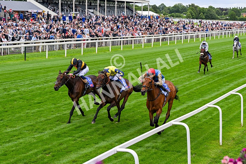 130626-Race 3-Gregory-0473 - Race 3 15.00pm Sky Bet Race To The Ebor Grand Cup Stakes
