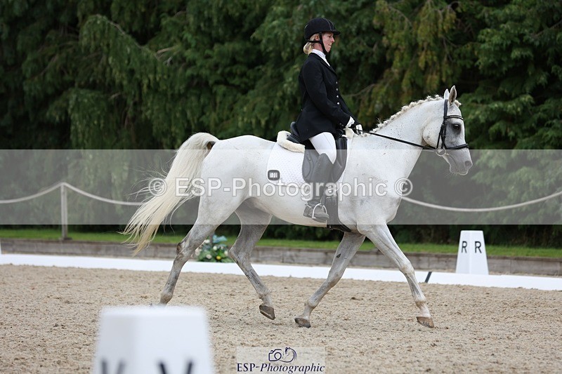 230812-151613-05092 - Cls 5 Novice Bronze 15.00 to End