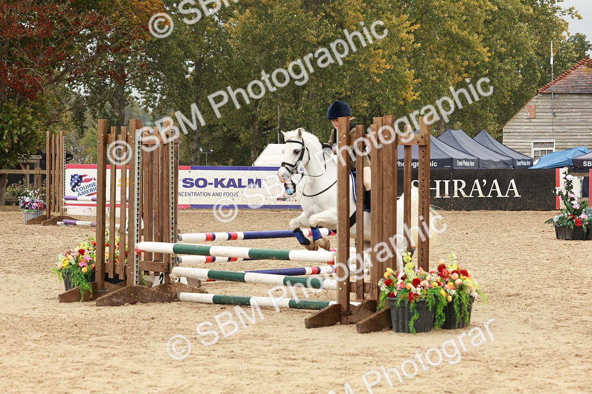SBM_69246 - J13 - Junior Pony 60cm Championship