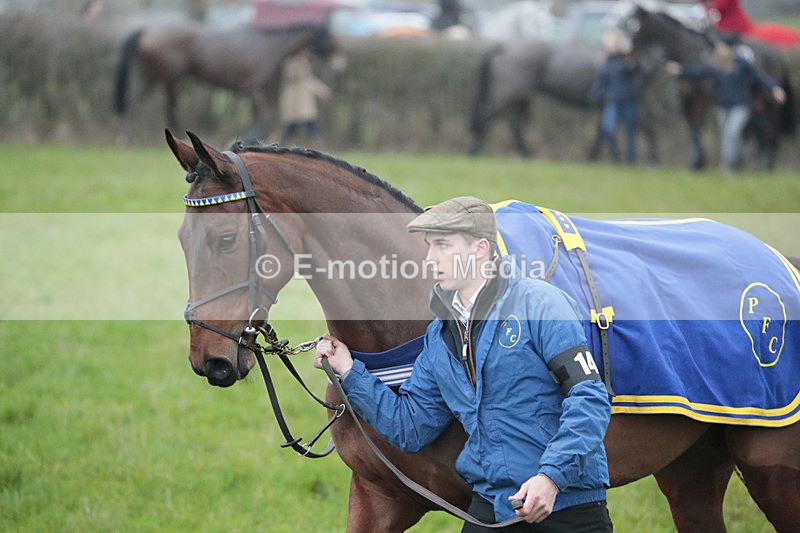 PtP 041222 0348 - Wheatland  Hunt PtP Chaddesley Corbett, Worcs 04/12/22