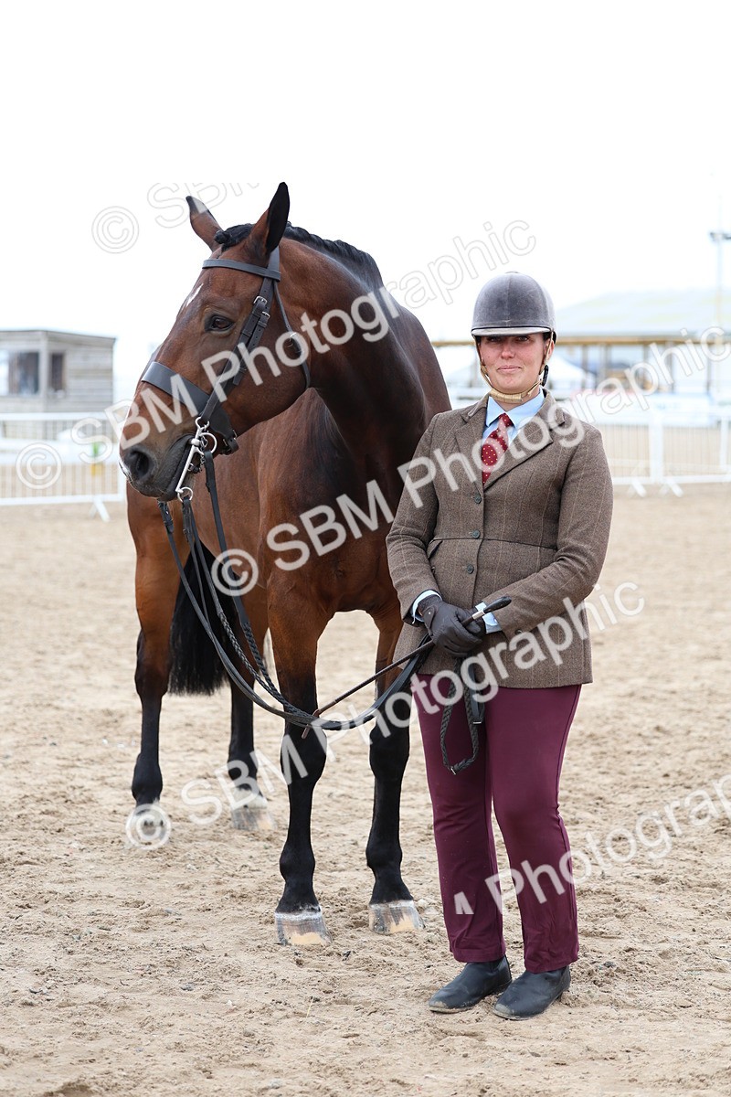 SBM_05745 - Class 28 - IH Veteran Horse