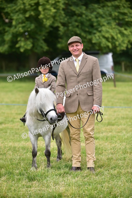 20260614-3699 - Class 15 - Prettiest Mare