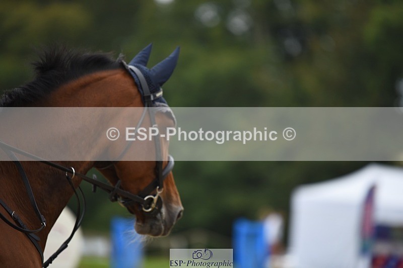 231001-124014-02471 - Cls 2 80cm 12.20 to End