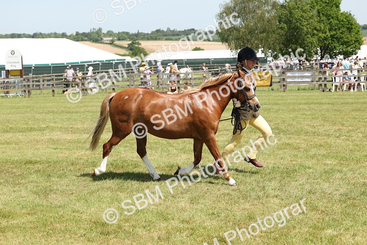 SBM_06773 - Class 26-30 - Mountain and Moorland Ridden