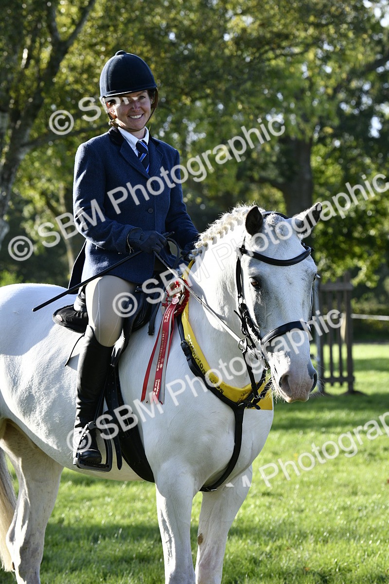 SBM_51745 - Working Hunter Supreme Championship