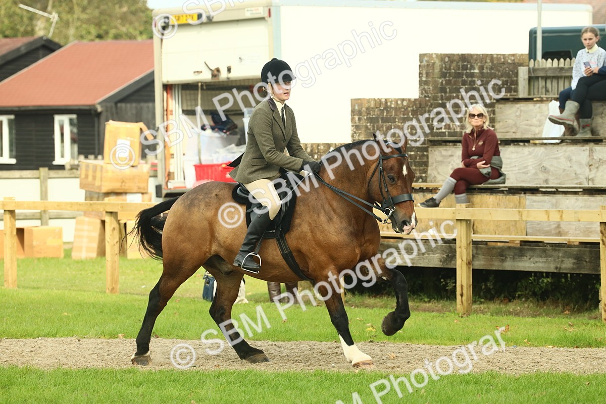 SBM_69342 - S58 - Mini Show Cob Ridden