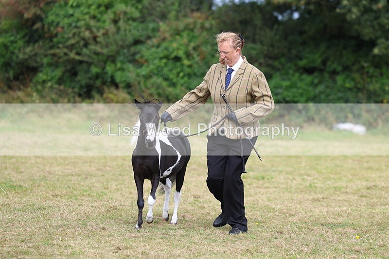 3E7A5417 - Class 19: Best Coloured in Hand