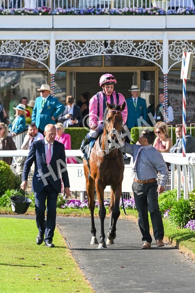 160525-Race 6-Bowmark-7213 - Race 6 4.55pm Darley EBF 'Confined' Novice Stakes