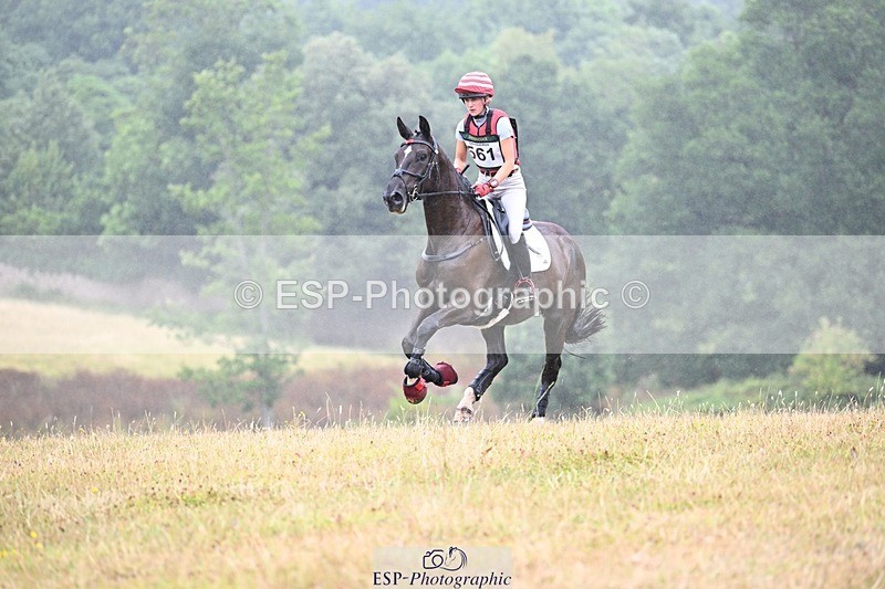 250803A-131550-13612 - M-561-Henrietta.Ewell-POMONA.WFS